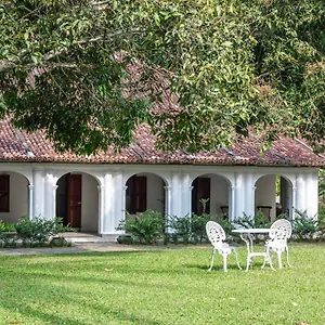 the-kandy-house.negombohotels.net/